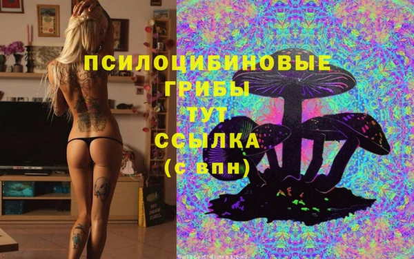 a pvp Медвежьегорск