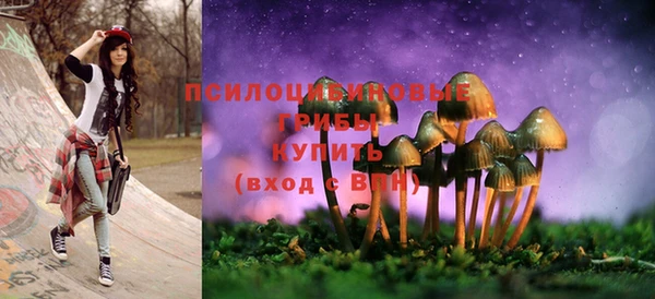 a pvp Медвежьегорск