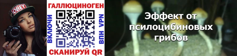 Псилоцибиновые грибы мицелий  купить закладку  Яранск 